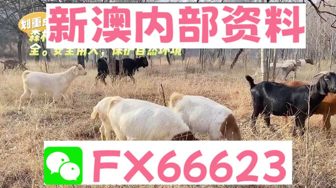 2024新澳资料大全免费_动态词语核心关注_升级版37.140.111.213