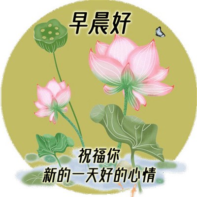 最新早上好温馨图片，唤醒美好一天的温馨问候