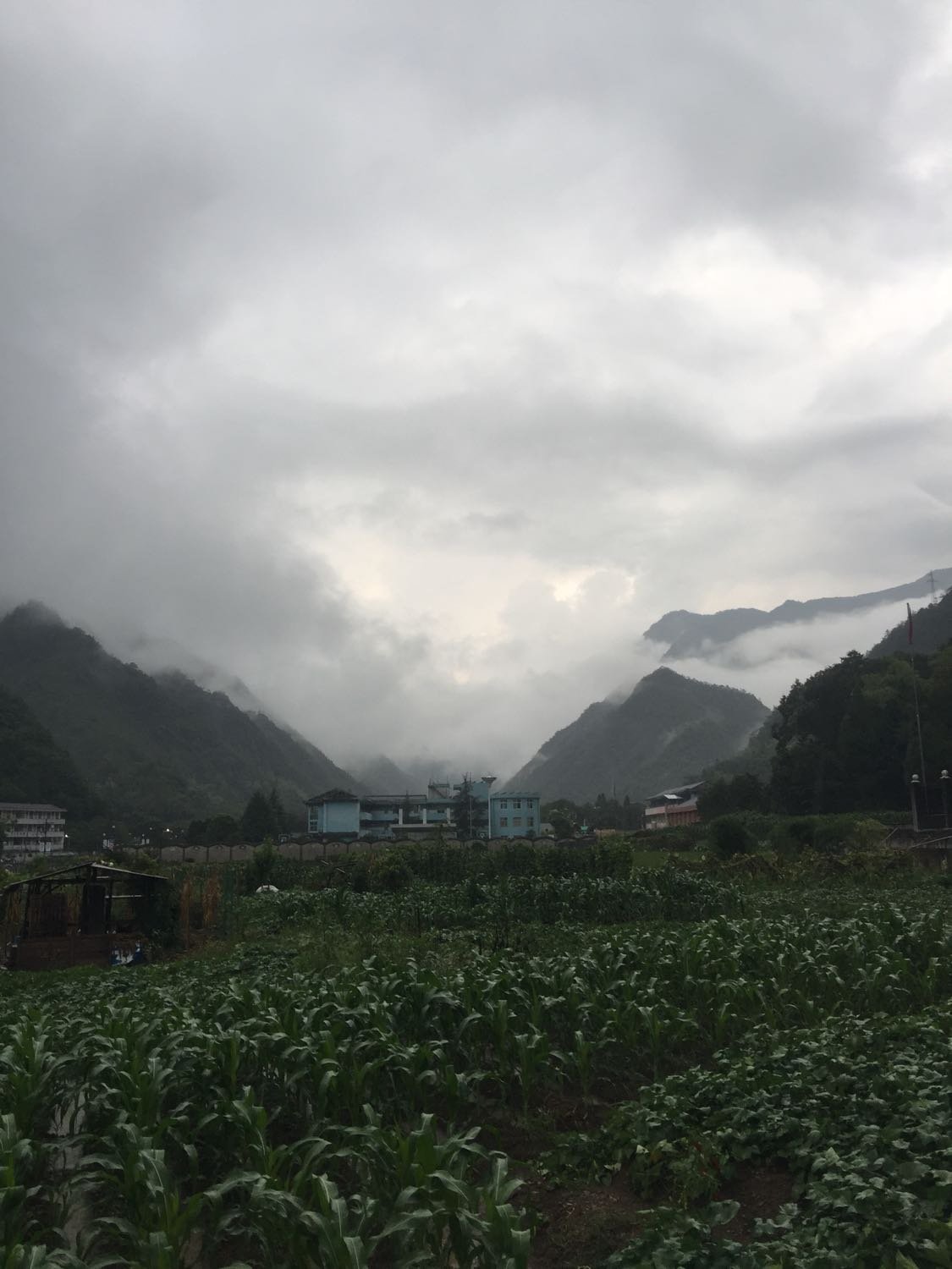 荣日村最新天气预报通知